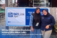 BRILink