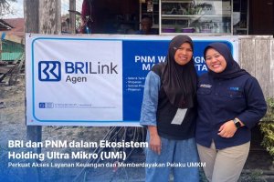 BRILink