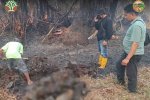Bangkai Bekantan di Kalimantan Selatan