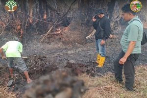 Bangkai Bekantan di Kalimantan Selatan