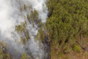 Upaya penanganan kebakaran hutan PKG jalur 21 Padang Sugihan