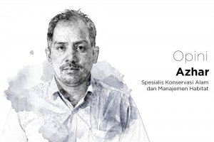 Azhar