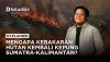 Mengapa Kebakaran Hutan Kembali Kepung Sumatra-Kalimantan