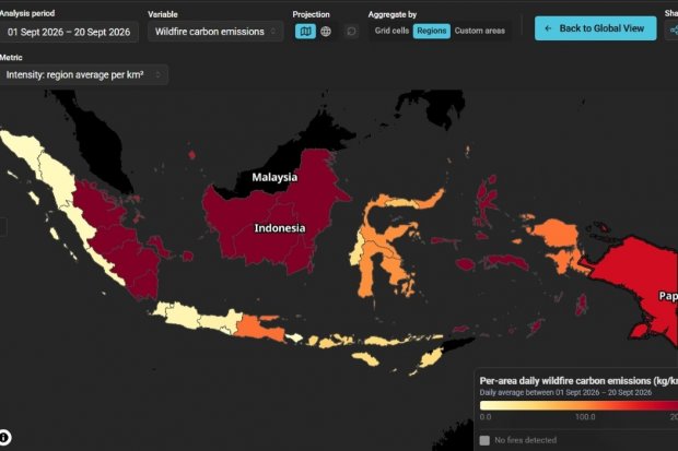 Membara di Lahan Proyek Ketahanan Pangan Kalimantan Tengah dan Papua Selatan