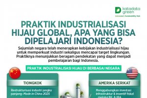 Praktik Industrialisasi Hijau Global, Apa yang Bisa Dipelajari Indonesia?