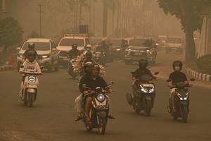 Kualitas udara Palangka Raya masuk kategori berbahaya