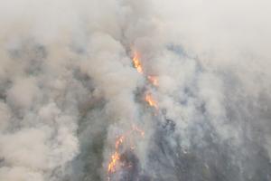Kebakaran lahan di Pemulutan