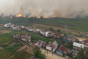 Kebakaran lahan di Pemulutan
