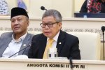 Anggota Komisi II DPR RI Taufan Pawe 