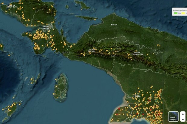 Asap Karhutla Papua Selatan sudah Mencapai Kawasan Konservasi Lorentz