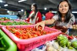 Kenaikan harga cabai akibat kemarau panjang