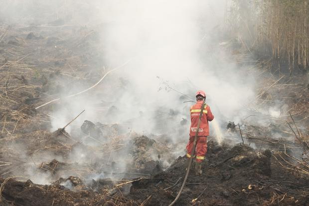 DPR Desak Prabowo Buka Data Perusahaan yang Terlibat Kebakaran Hutan