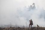 Upaya pemadaman kebakaran lahan gambut di Desa Riding