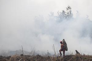 Upaya pemadaman kebakaran lahan gambut di Desa Riding