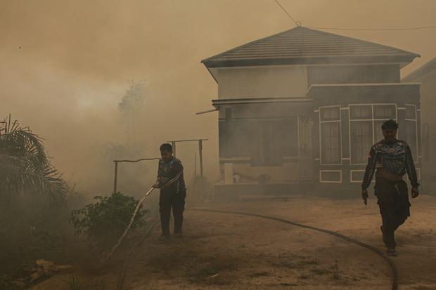 Karhutla Masih Menggelora, Apa Kata Menteri Lingkungan Hidup Kabinet Bayangan?