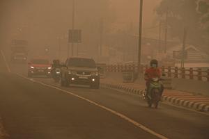 Kabut asap dampak karhutla masih menyelimuti Palangka Raya