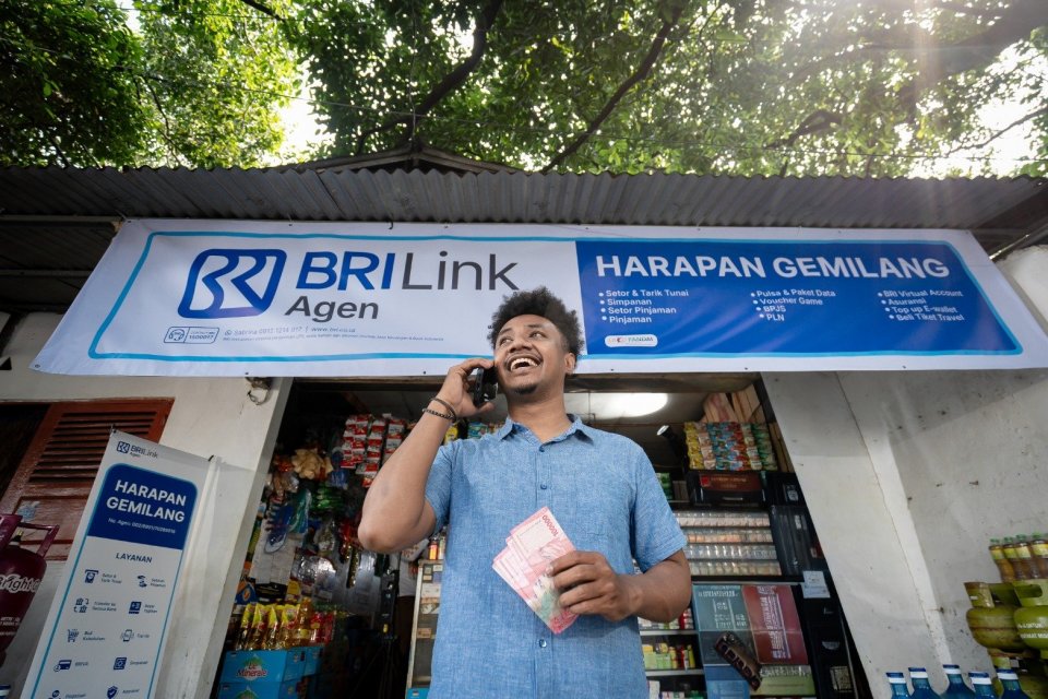 BRILink