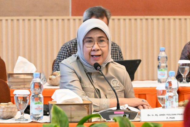 Anggota Komisi XI DPR RI Andi Yuliani Paris