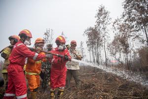 Menko Polkam tinjau lokasi karhutla di Palembang