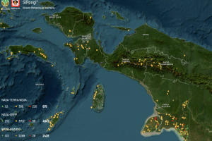 Titik panas di Papua Selatan