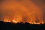Kebakaran hutan dan lahan di Gunung Arjuno