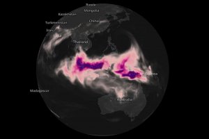 Emisi Karbon dari Kebakaran Hutan Indonesia