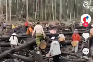 Warga Tebar Benih Pohon di Kaltim