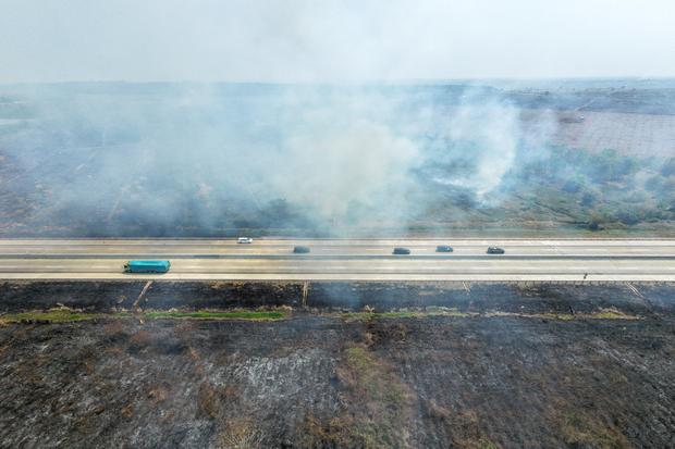 Epistem Ajak Berbagi Data Peta untuk Dukung Restorasi dan Cegah Deforestasi