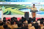 Rakornas Tim Percepatan Akses Keuangan Daerah 2026