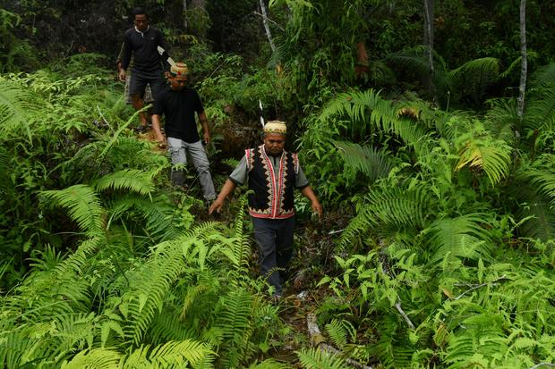 Indonesia Incar Tuan Rumah COP Biodiversitas 2028, JustCOP Beri Catatan
