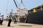 BULOG tinjau penyaluran jagung dari Sulsel ke Jawa