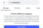 Pembatasan pencarian "orangutan" di Instagram
