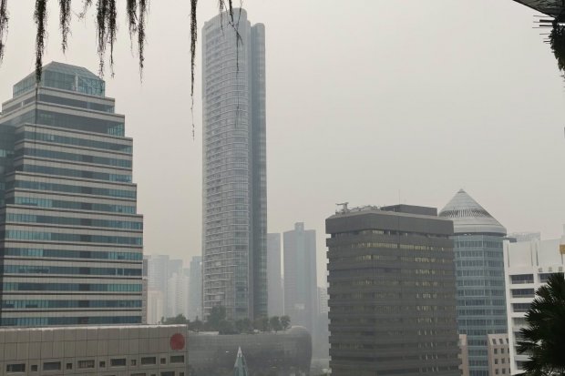 Apa Itu THPA yang Digunakan Singapura Jerat Perusahaan RI di Balik Kabut Asap?