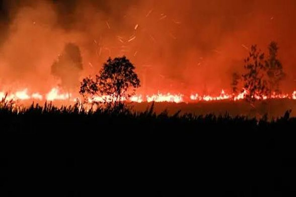 Profil Taman Nasional yang kena kebakaran Hutan