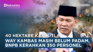Way Kambas Karhutla