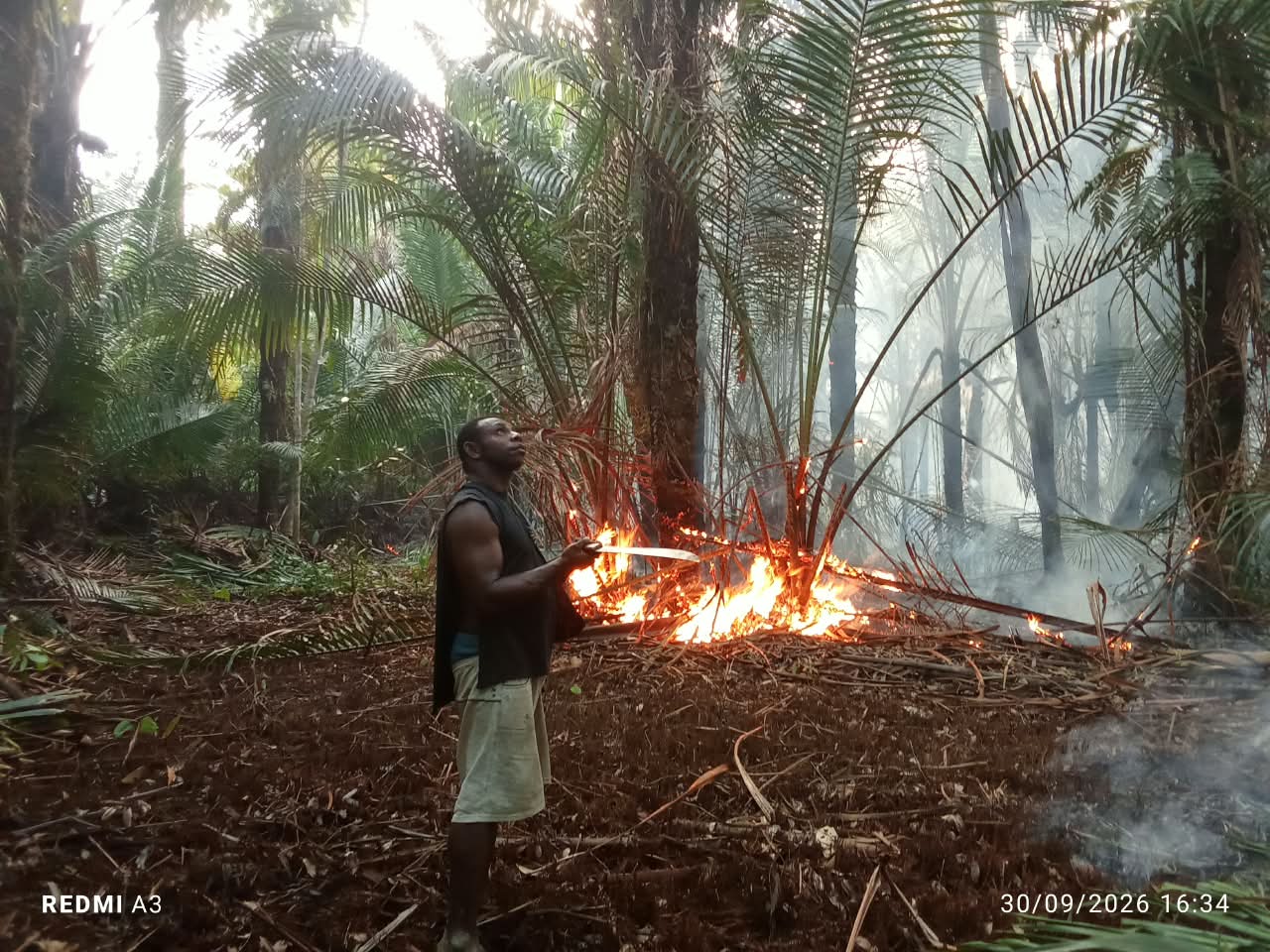 Seorang pria memegang parang menatap ke atas di depan api yang melalap rumpun sagu; asap putih memenuhi hutan di belakangnya.