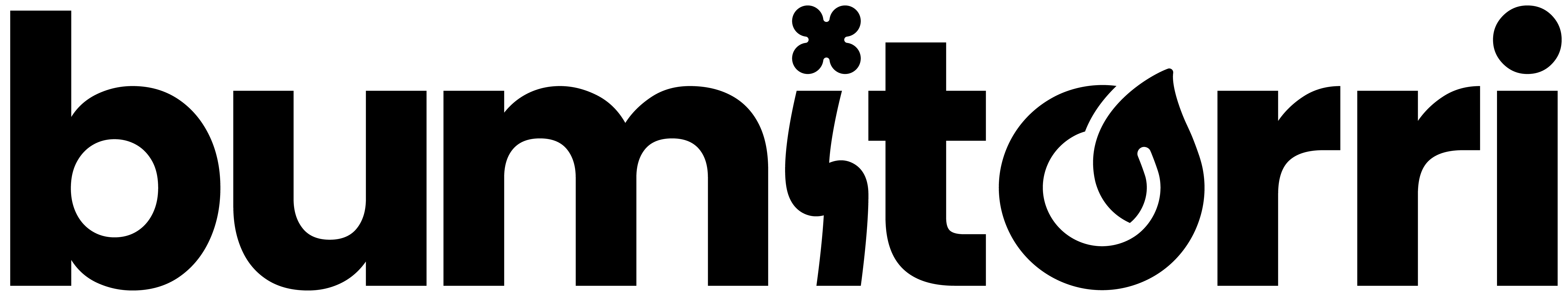 Bumitorri