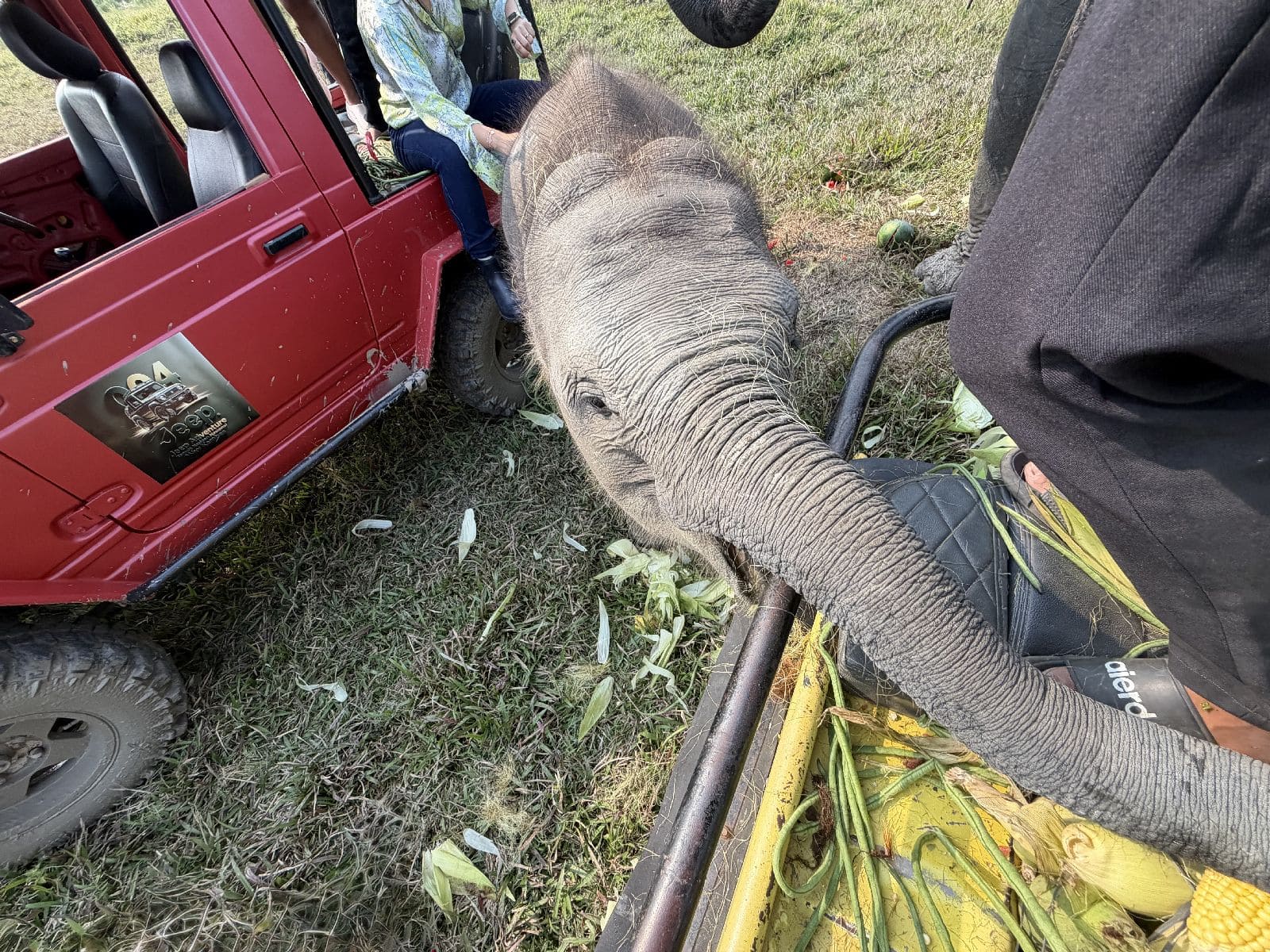 Nisa tengah menyantap jagung, rambut jagung menempel di kulitnya