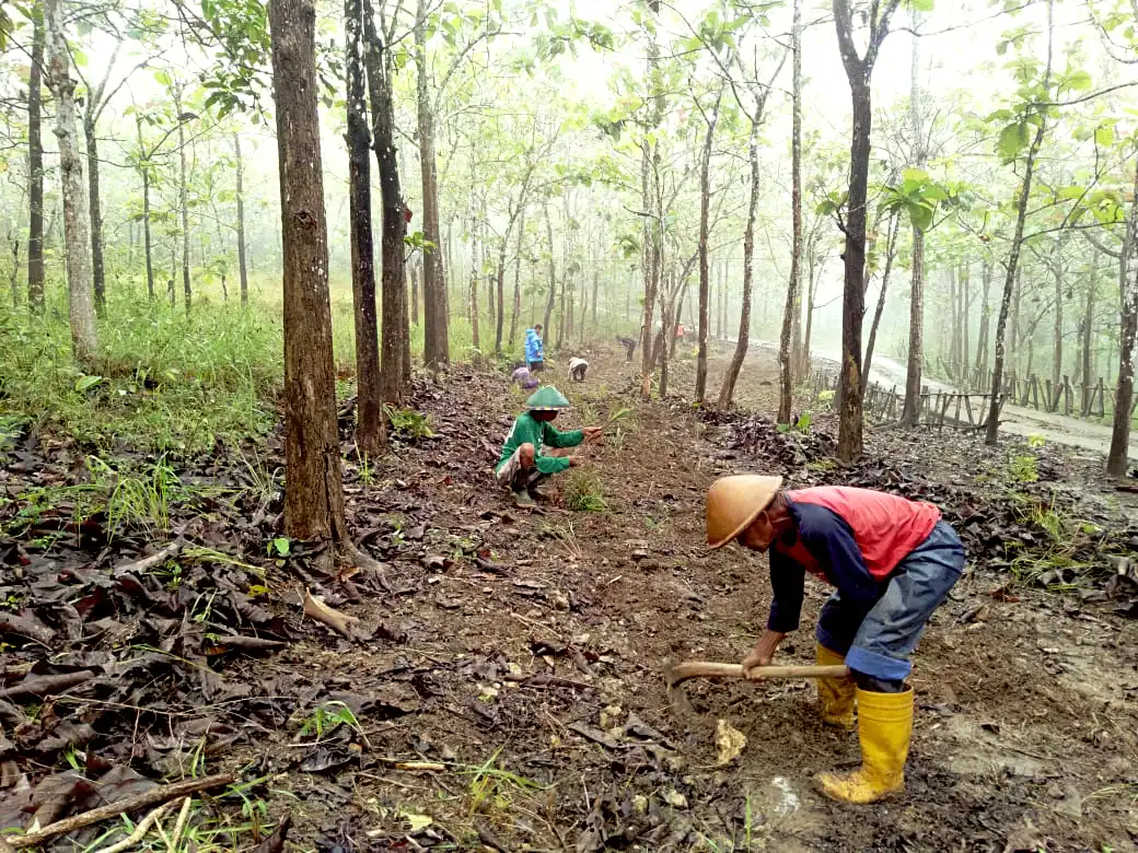 people running on dirt road during daytime