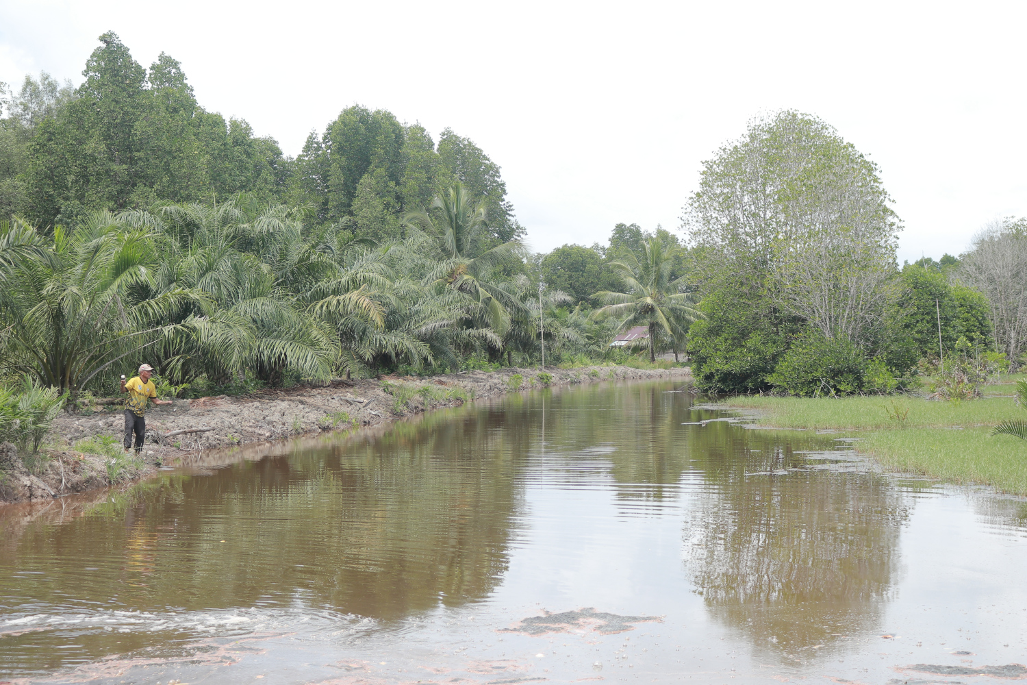 A mud crab pond owned by local residents