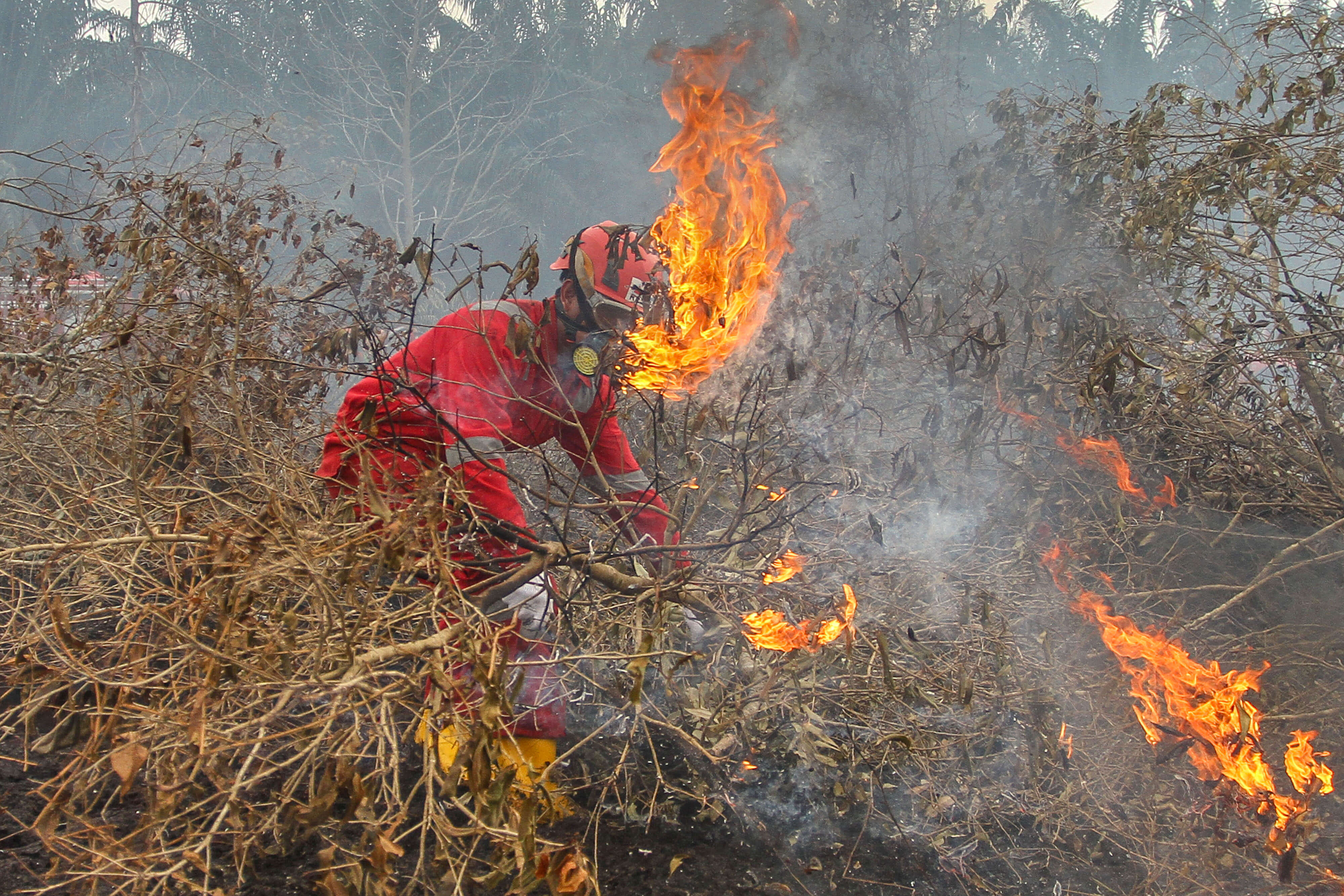 Memicu di kebakaran gambut satu lahan indonesia salah adalah yang fenomena Fenomena Alam
