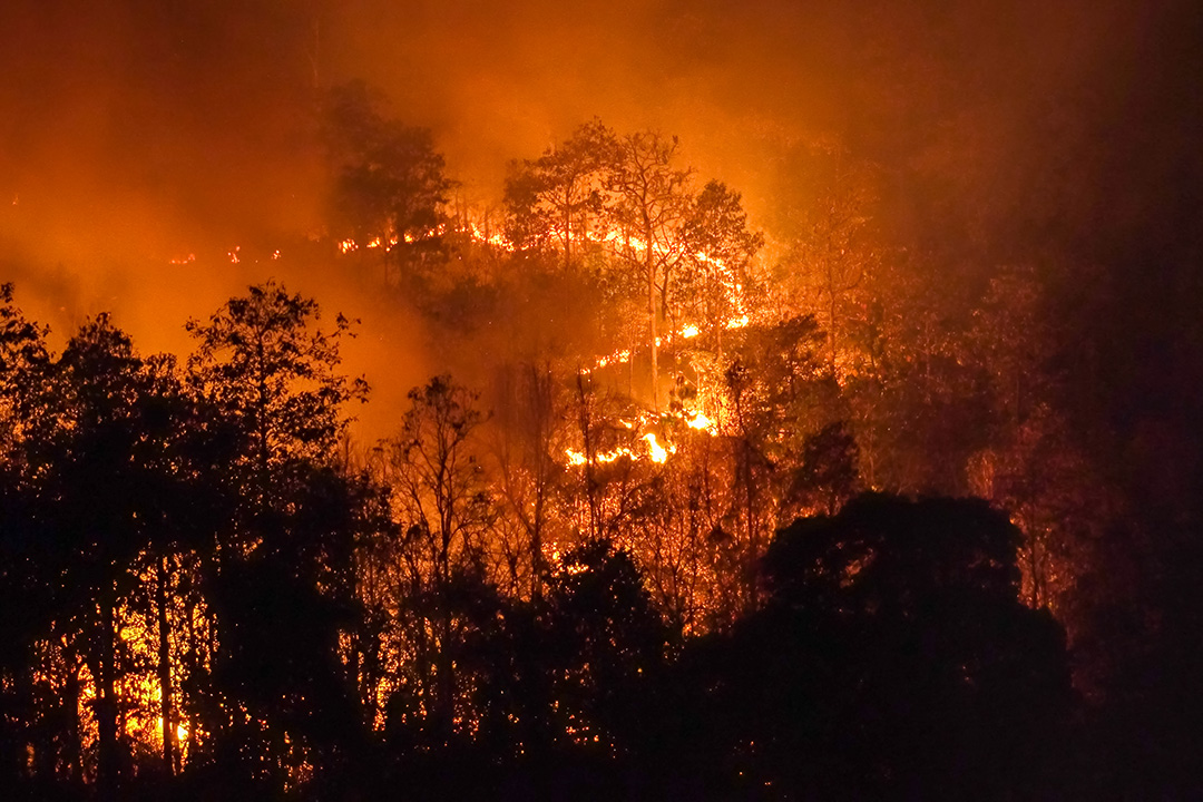 Pengendalian kebakaran hutan salah satu upaya Indonesia capai NDC 2030 (ANTARA FOTO/Umarul Faruq)